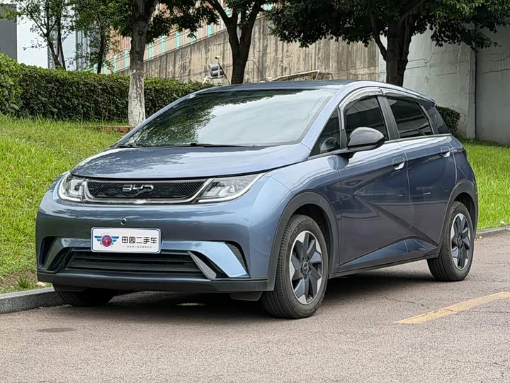 Dolphin 2025 420km Free Edition