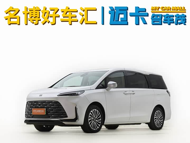 2025 Buick GL8 New Energy 2025 Lu Shang Exclusive Edition