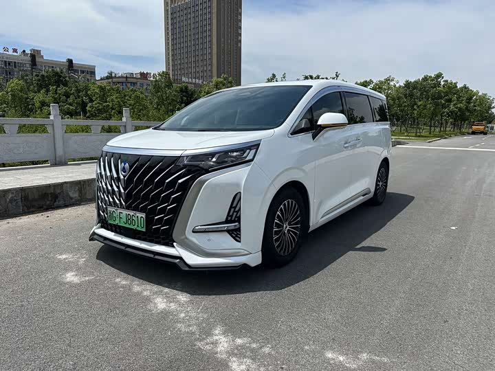 Denza D9 2024 DM-i 980 four-wheel drive premium model