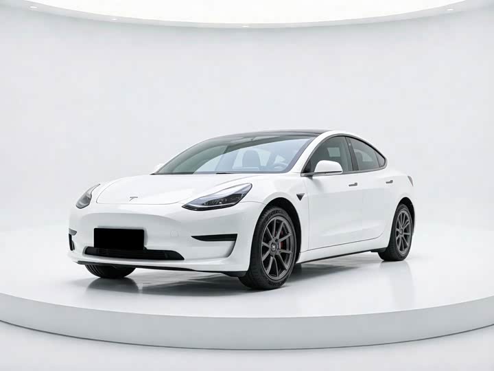 Model 3 2022 rear-wheel drive version