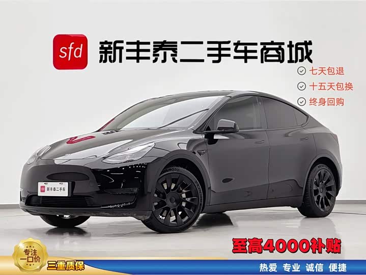 2021 Model Y 2021 standard range rear-wheel drive version