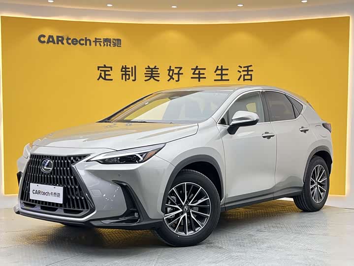 2025 LexusNX 2025 Model 200 FUN