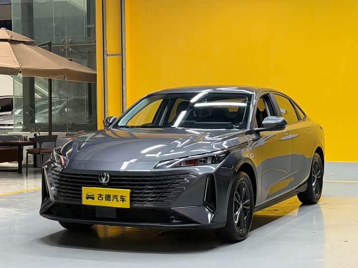 Yida 2023 Blue Whale NE 1.5T GDI DCT Premium Type