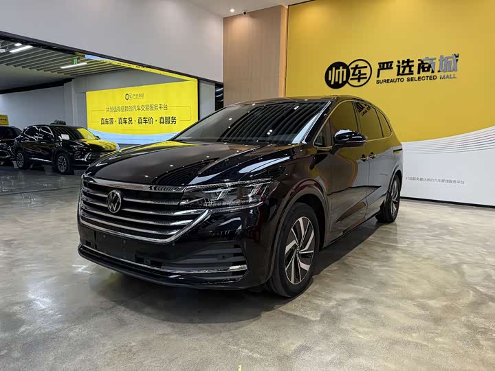 2022 Weiran 2022 380TSI Zunchi Edition