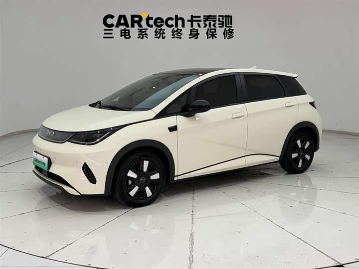 Dolphin 2025 smart driving version 410km fashion version