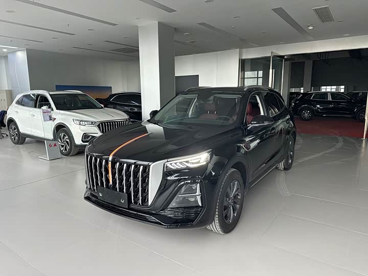 Hongqi HS5 2025 model 2.0T two-wheel drive 600,000 units commemorative edition
