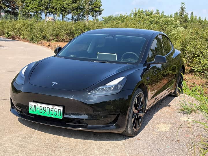 Model 3 2022 rear-wheel drive version