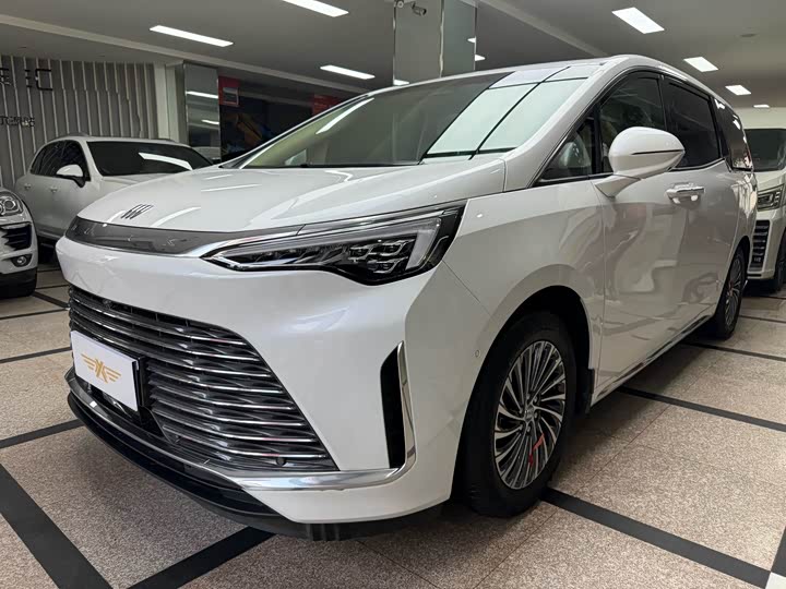 Century 2023 2.0T Seven-Seater Premium Edition
