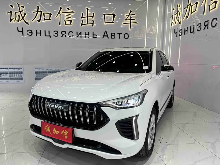 2024 Haval Red Rabbit 2023 Model 1.5T ExcellenceModel