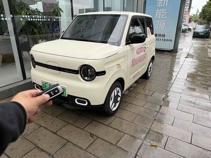 2025 Panda 2024 Model Panda mini 200km Endurance Bear