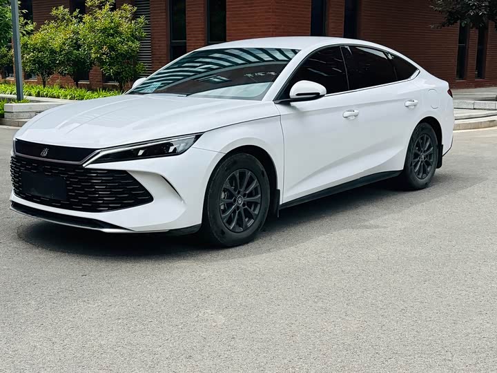 Qin L 2024 Model DM-i 80KMLeadingModel