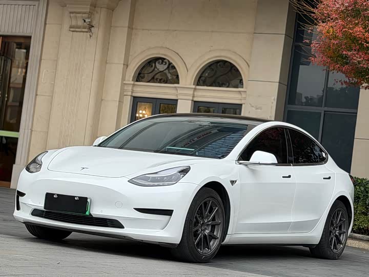 Model 3 2020 model standard range rear-wheel drive upgraded version 