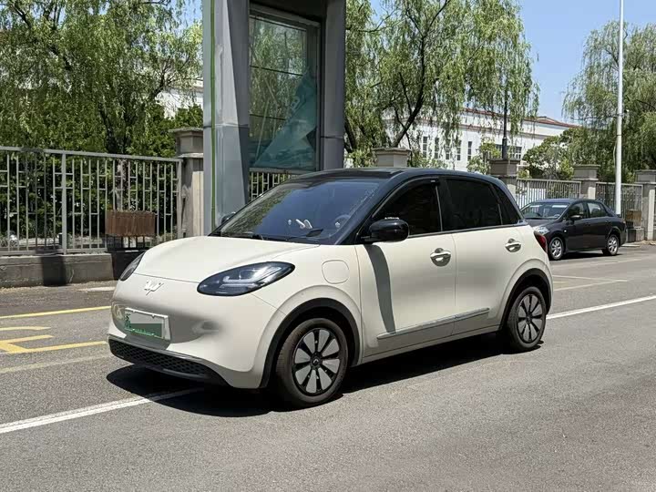 2023 Wuling Bingo 2023 Model 333km Lingxi Internet Model