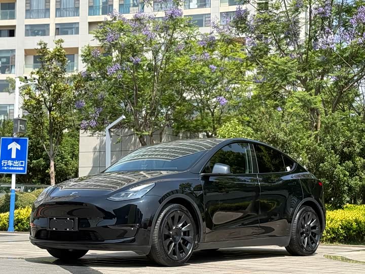 2021 Model Y 2021 standard range rear-wheel drive version