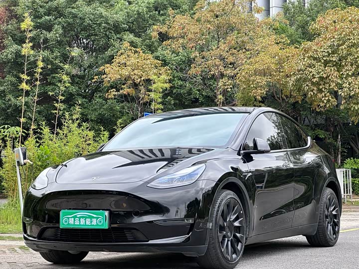 2022 Model Y 2022 Model Long Range All-Wheel Drive Edition