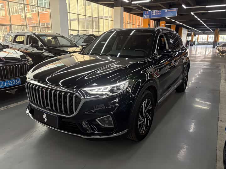 HongqiHS5 2022 Model 2.0T Zhilian Qiyue Edition