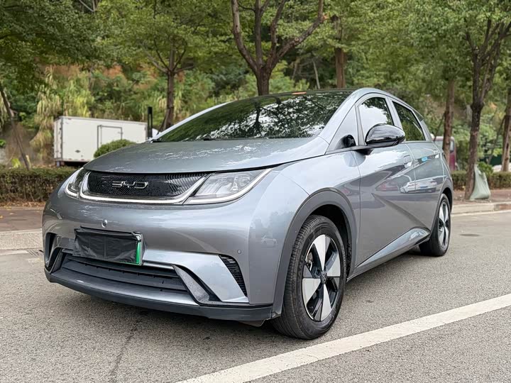 2023 2023 BYD Dolphin 420km Fashion Edition