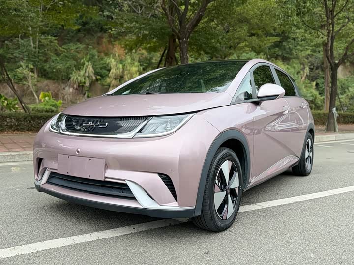 2023 2023 BYD Dolphin 420km Fashion Edition