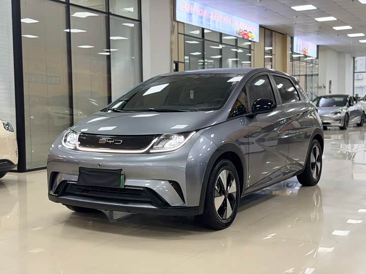Dolphin 2023 Model 420km Free Edition