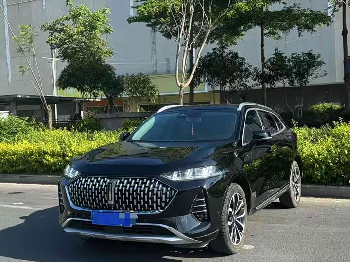 WEY Mocha 2021 Model 2.0T 4WD Special Edition