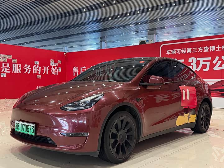 Model Y 2021 standard range rear-wheel drive version