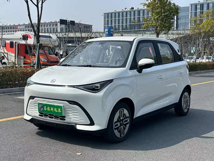 2025 Duomi 2025 Model 305km Shuxiang Model