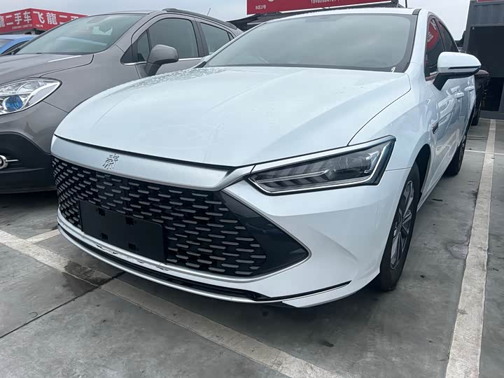 2024 Qin PLUS 2024 Honor Edition DM-i 55KM Leading Type