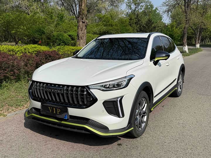 2022 Haval Red Rabbit 2022 Model Jinxiang Edition 1.5T Red Bronze Rabbit