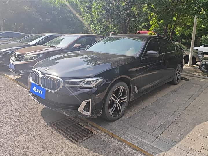 BMW 5 Series 2021 530Li xDrive Luxury Package