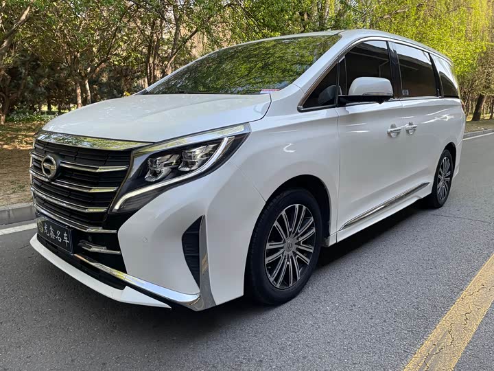 2021 GAC Trumpchi M8 2021 Master Edition 390T Supreme