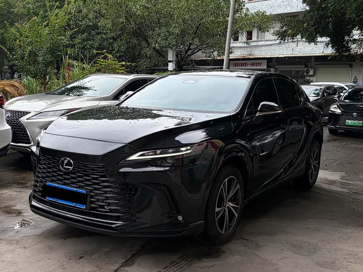 Lexus RX 2025 300 four-wheel drive version