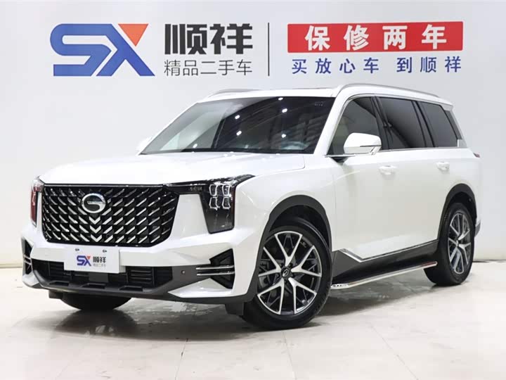 Trumpchi GS8 2025 model Pilot series 2.0TGDI two-wheel drive luxury version 5 seats