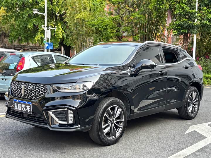 2021 WEY VV5 2021 Model 1.5T 2WD Vitality Orange Edition