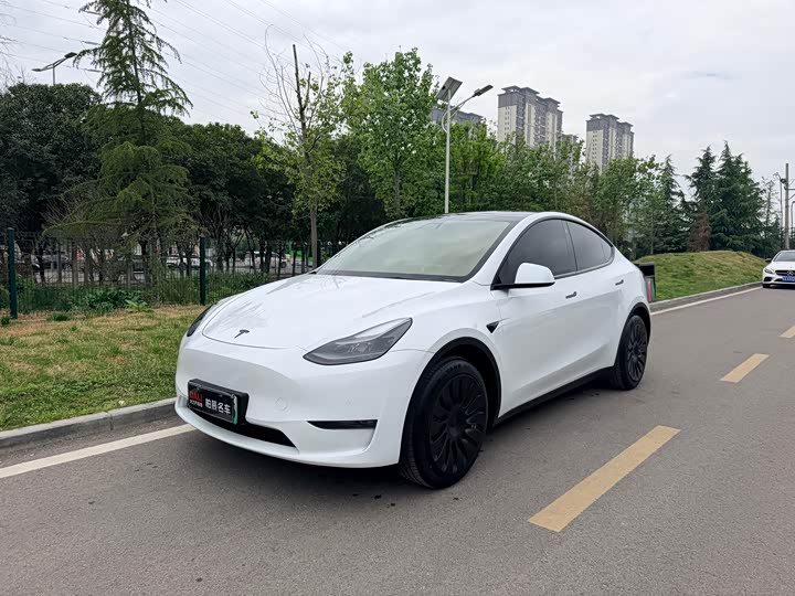 2021 Model Y 2021 standard range rear-wheel drive version
