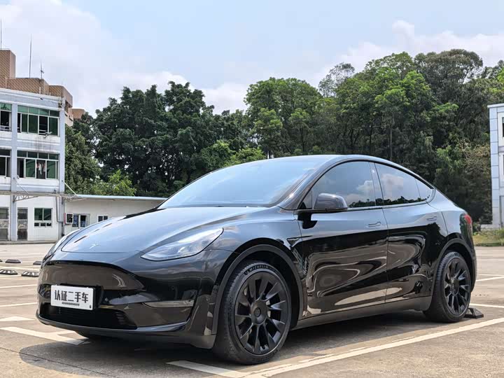 Model Y 2021 standard range rear-wheel drive version