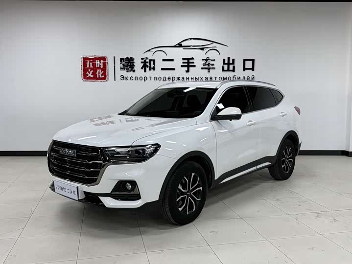 2022 Haval H6 2021 Model Guochao Edition 1.5T Automatic Urban Edition