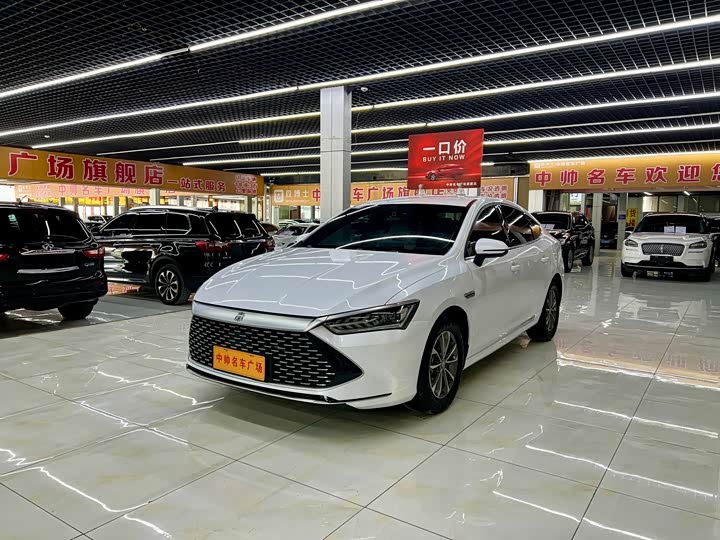 Qin PLUS 2024 model Honor version DM-i 55KM leading model