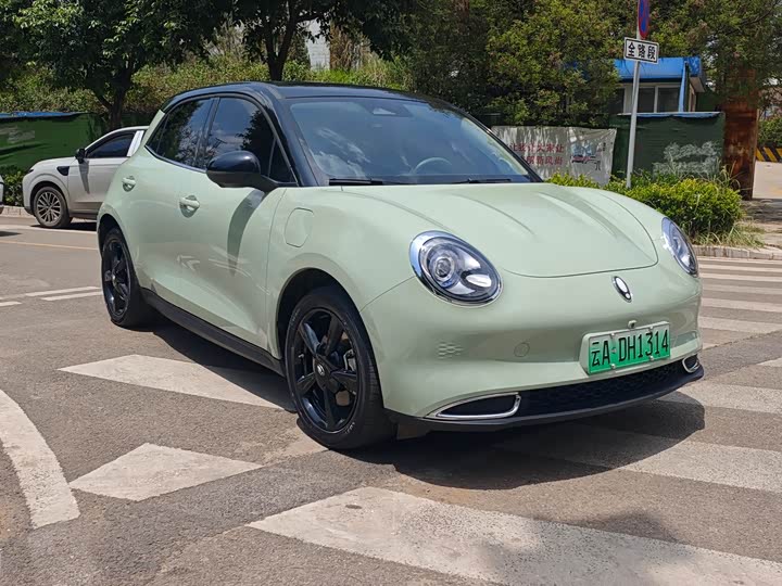 Euler Good Cat 2024 Model 401km LuxuryModel
