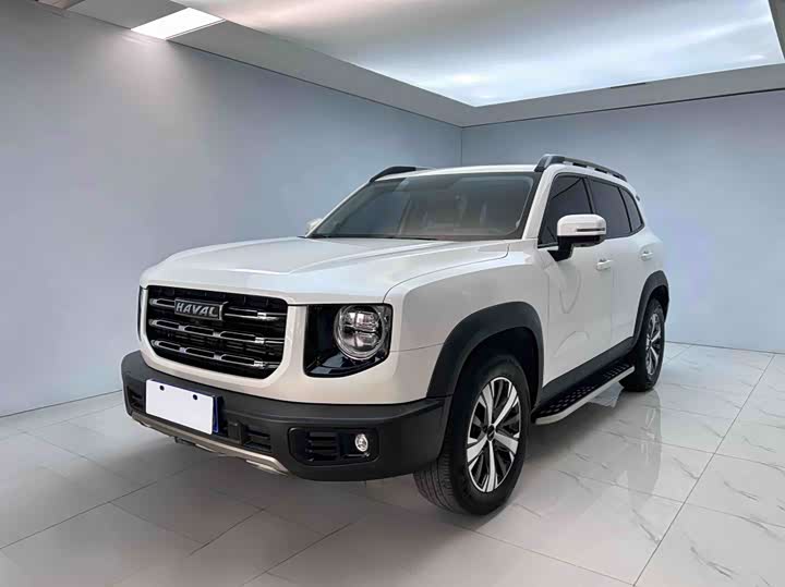 Havaldog 2021 1.5T DCT two-wheel drive Labrador version