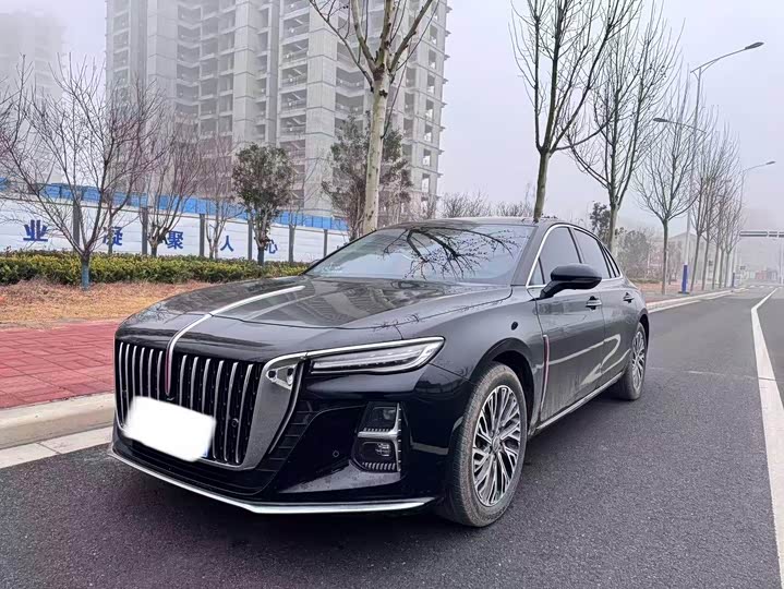 2025 HongqiH5 2025 Model 2.0T Automatic Qichang Edition