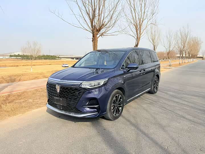 RoeweiMAX8 2021 Model 400TGI Supreme Series Honor Edition