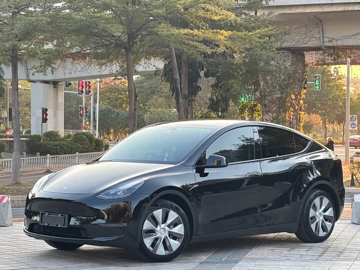 Model Y 2021 standard range rear-wheel drive version