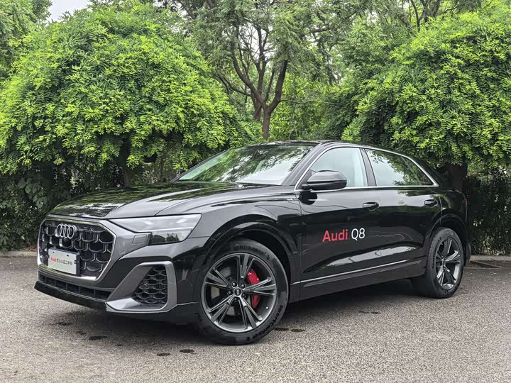 Audi Q8 2024 55 TFSI Luxury Dynamic 