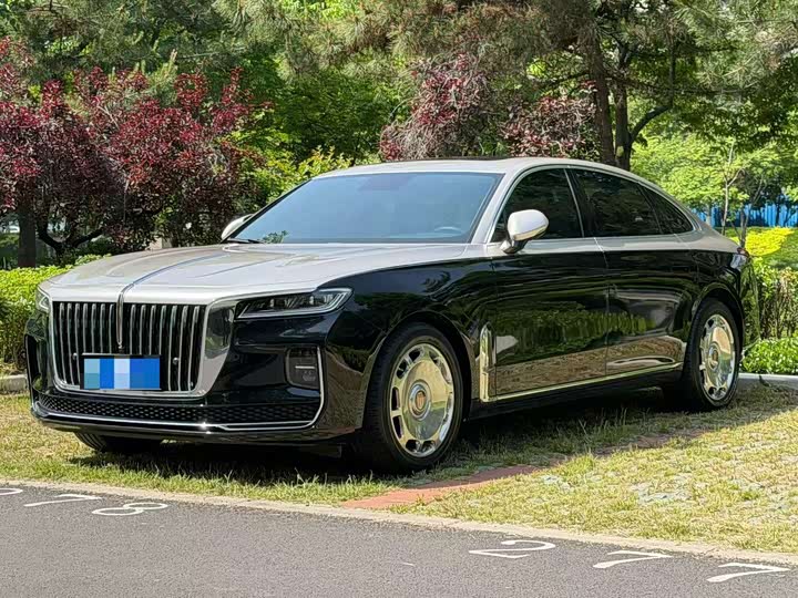 2022 HongqiH9 2022 Model 2.0T Zhilian Qiyue Edition