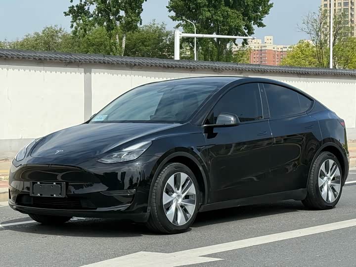 2021 Model Y 2021 standard range rear-wheel drive version
