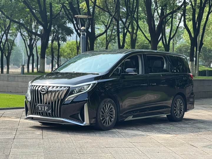 2021 Trumpchi M8 2021 Master Series 390T Extreme Edition