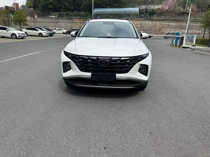 Tucson 2023 Tucson L 1.5T automatic two-wheel drive GLX Elite Edition