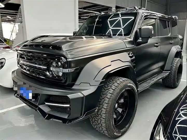 2021 Tank 300 2021 Off-Road Version 2.0T Conqueror