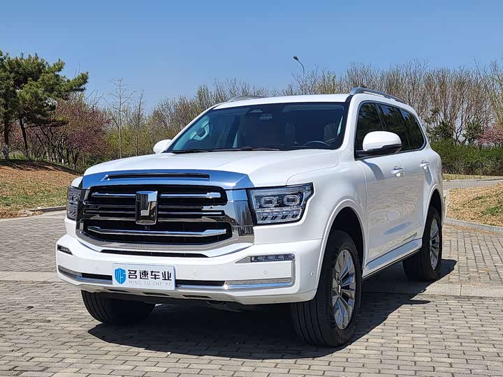 2023 Tank 500 2023 model 3.0T sports version, environment type, 5 seats