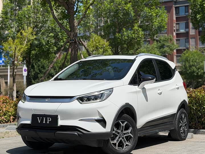Yuan Pro 2021 Model Lifetime Edition